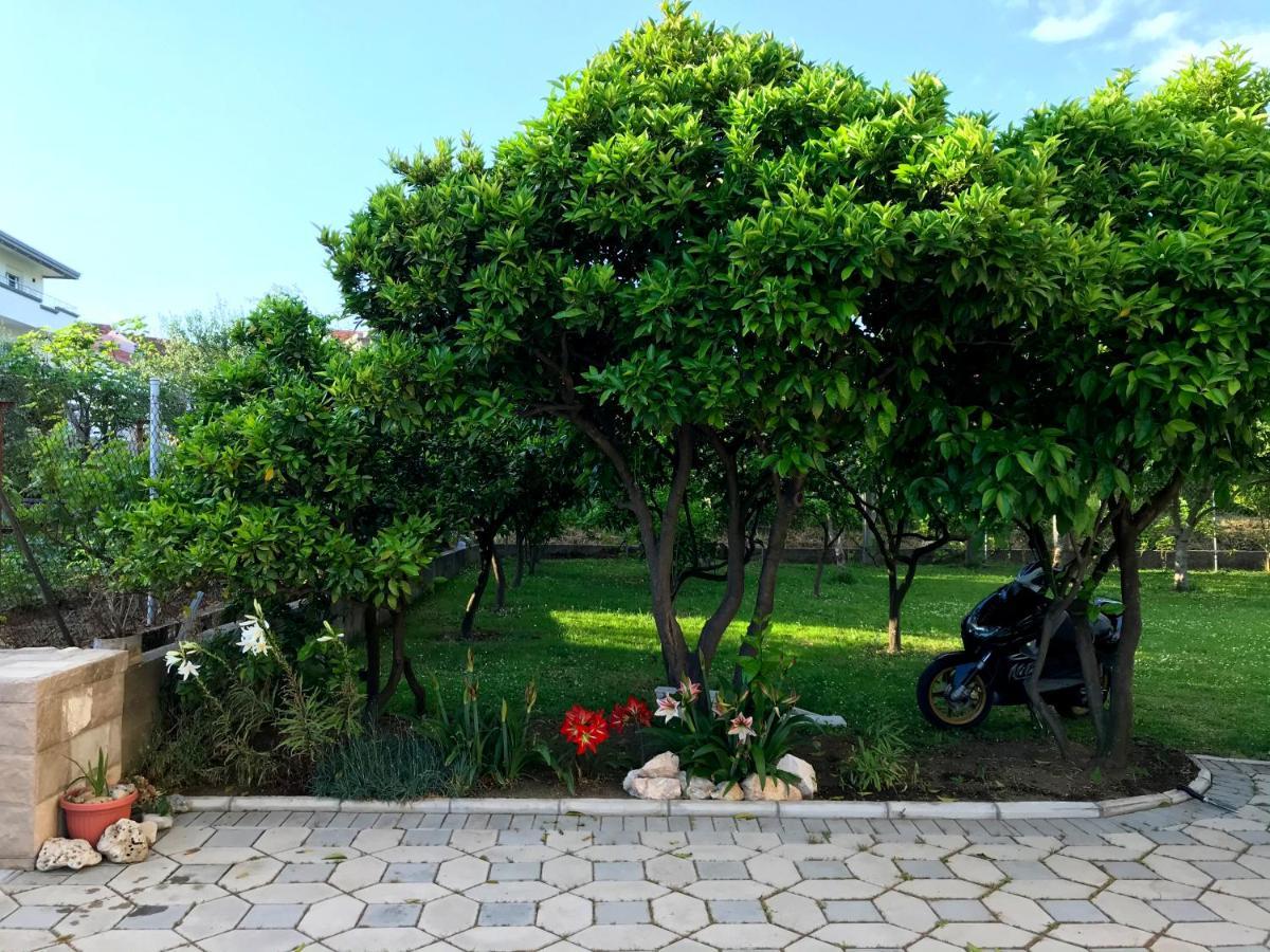 Apartments Kraja Ulcinj Eksteriør bilde