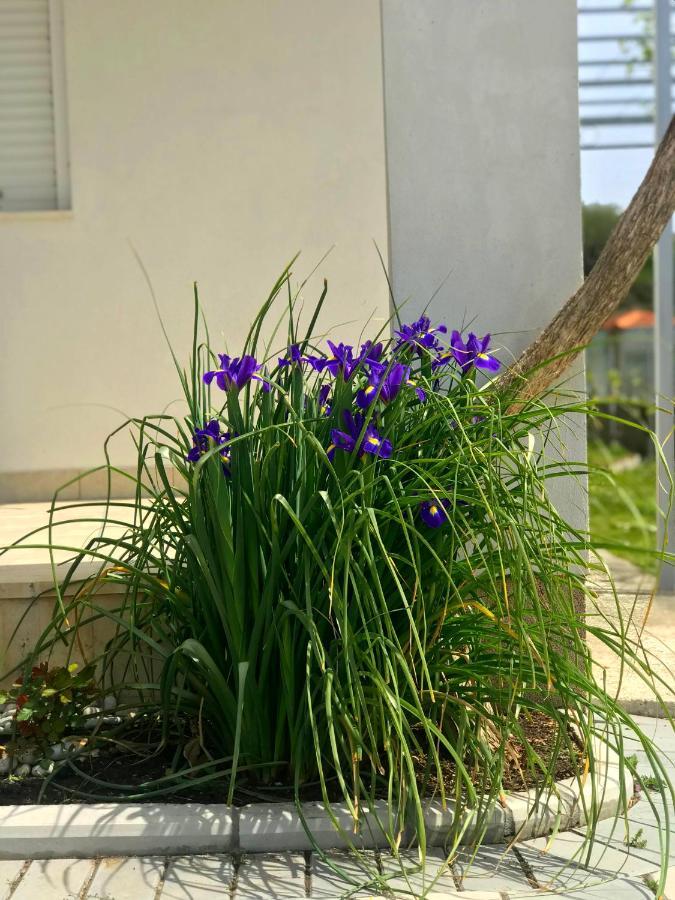 Apartments Kraja Ulcinj Eksteriør bilde